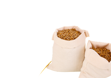 The sacks are filled with grain.