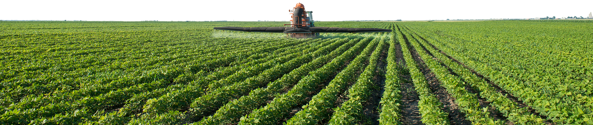 A green field with a tractor tending to the sprouts.